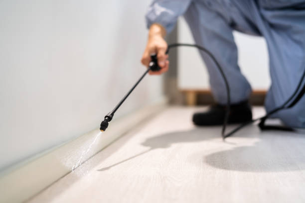 Licensed Pest Control service in Graham, TX - Show Me Pest Control
