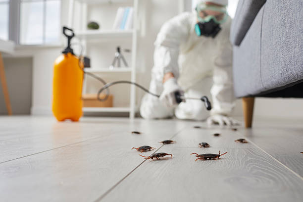 Post-Treatment Bed Bug Interceptor Monitoring in Graham