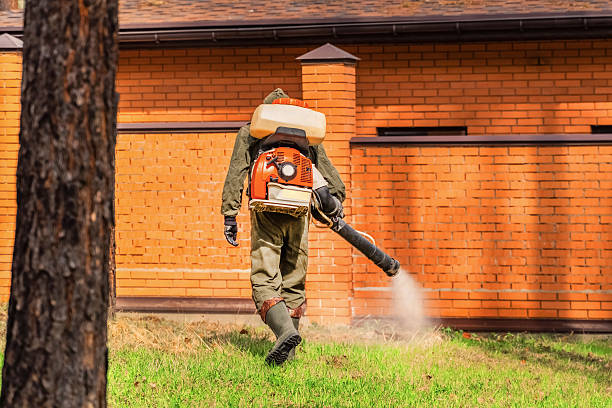 Bed Bug Clearance Verification and Documentation in Graham